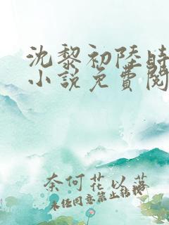 沈黎初陆时霁的小说免费阅读全文