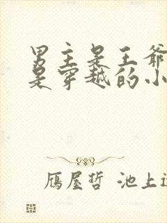 男主是王爷女主是穿越的小说