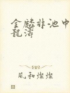 金麟非池中物侯龙涛