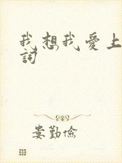 我想我爱上你歌词