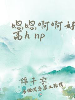 嗯嗯啊啊好爽 高h np
