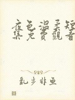 夜色温柔短剧全集免费观看