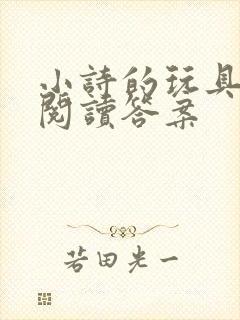 小诗的玩具日记阅读答案