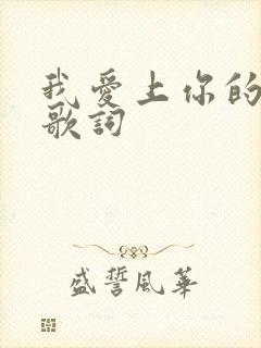 我爱上你的时候歌词