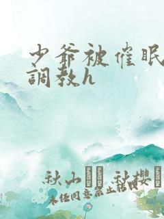 少爷被催眠玩弄调教h