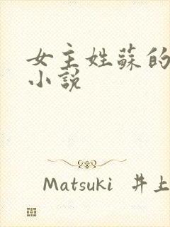 女主姓苏的言情小说