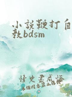 小说鞭打自愿调教bdsm