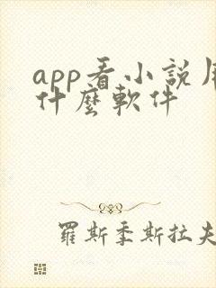 app看小说用什么软件