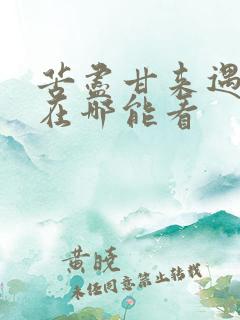 苦尽甘来遇见你在哪能看