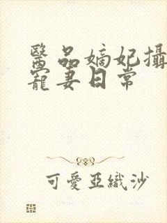 医品嫡妃摄政王宠妻日常