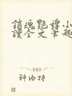 销魂艳婢小说阅读全文笔趣