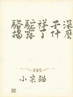 骆驼祥子深刻的揭露了什么