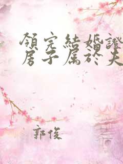 领完结婚证买的房子属于夫妻共同财产吗