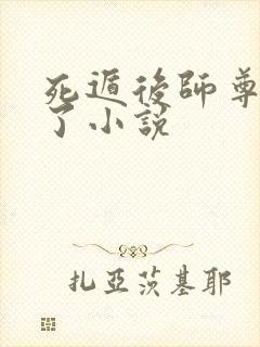 死遁后师尊他疯了小说