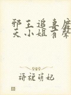 邪王追妻废材逆天小姐有声书