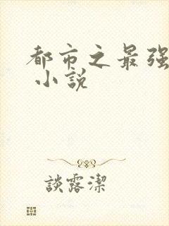 都市之最强仙医 小说