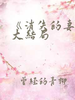 《消失的妻子》大结局