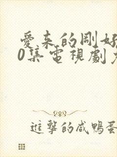 爱来的刚好第60集电视剧免费观看