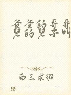 爸爸的哥哥的女儿的儿子叫我什么