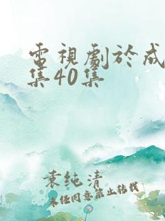 电视剧于成龙全集40集