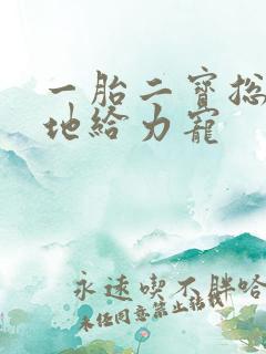 一胎二宝总裁爹地给力宠