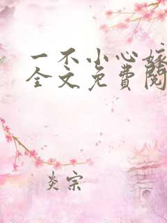 一不小心嫁总裁全文免费阅读