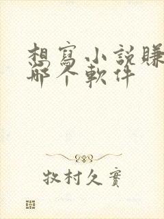 想写小说赚钱去哪个软件