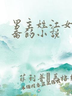 男主姓江女主姓乔的小说