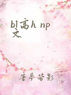 bl高h np文
