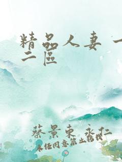 精品人妻 一区二区
