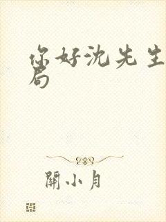 你好沈先生大结局