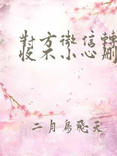 对方微信转账没收不小心删了怎么办