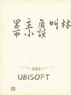 男主角叫林尘都市小说