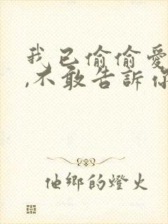 我已偷偷爱上你,不敢告诉你,什么歌