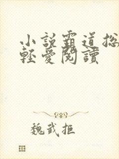 小说霸道总裁轻轻爱阅读