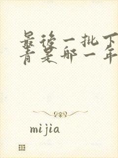 最后一批下乡知青是哪一年