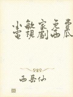 小敏家免费观看电视剧西瓜