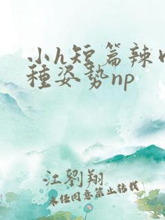 小h短篇辣肉各种姿势np