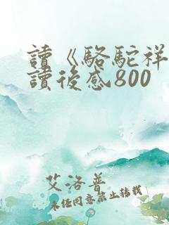 读《骆驼祥子》读后感800