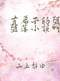 有希子的堕落与堕落小说叫什么