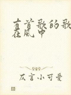 有首歌的歌词是在风中