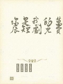 你是我的万千星辰短剧免费观看全集