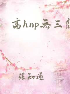 高hnp无三观