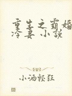 重生之霸婚豪门冷妻 小说