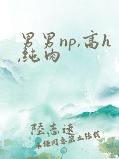 男男np,高h,纯肉