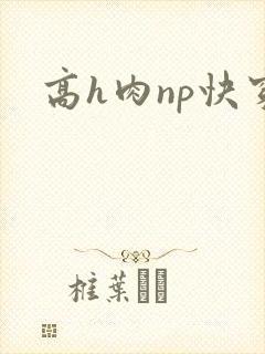 高h肉np快穿