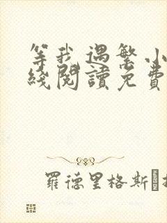 等我遇繁小说在线阅读免费