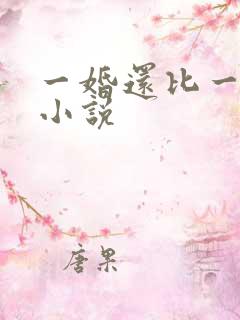 一婚还比一婚高小说