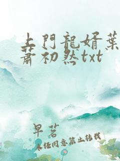 上门龙婿叶辰,萧初然txt