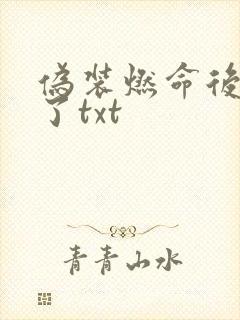 伪装燃命后成神了txt